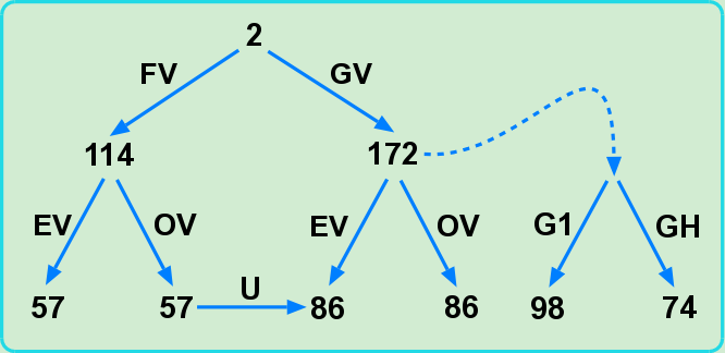 Normal/free verses in chp 2